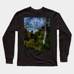 Autumnal Silver Birch Long Sleeve T-Shirt